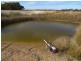 18717 Mawson Doodenanning Balkuling, Quairading WA 6383