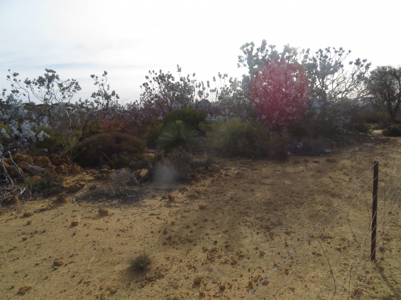 18717 Mawson Doodenanning Balkuling, Quairading WA 6383