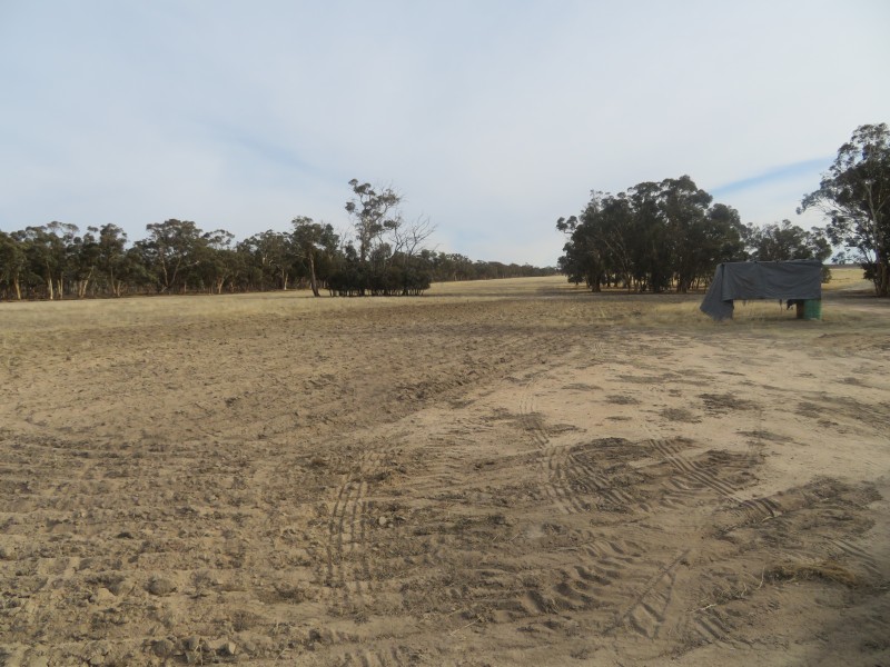 18717 Mawson Doodenanning Balkuling, Quairading WA 6383