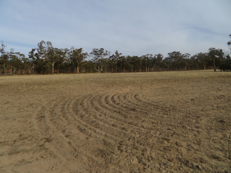 18717 Mawson Doodenanning Balkuling, Quairading WA 6383