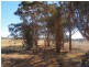 24804 Mawson Doodenanning Road Balkuling, Quairading WA 6383