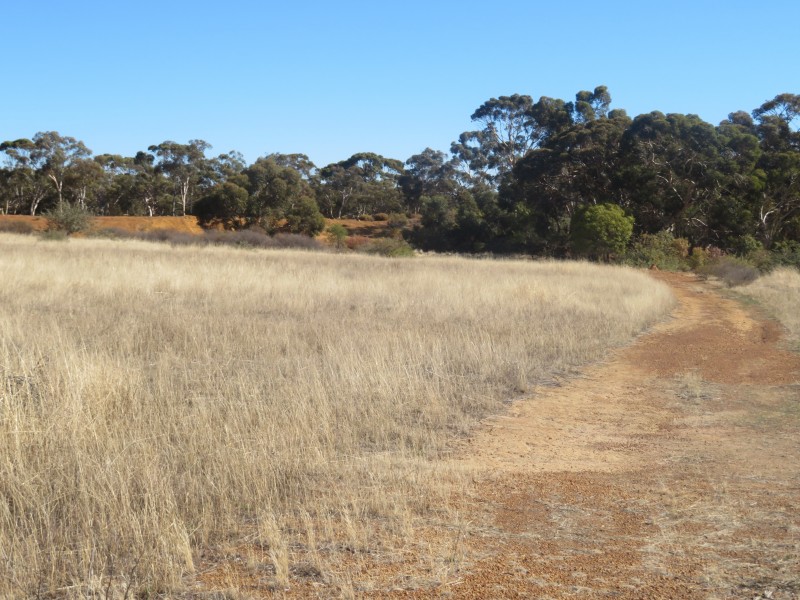 24804 Mawson Doodenanning Road Balkuling, Quairading WA 6383