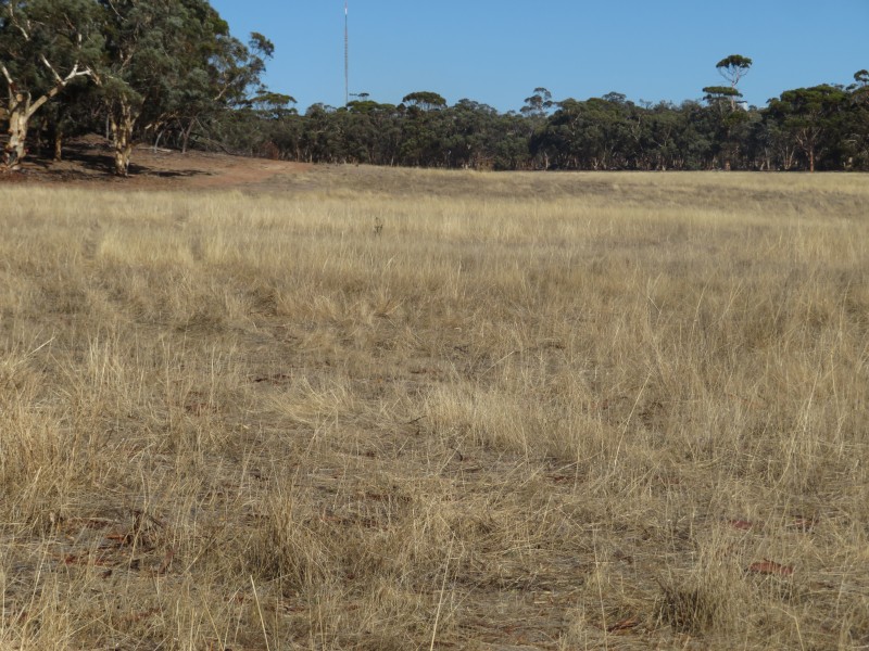 24804 Mawson Doodenanning Road Balkuling, Quairading WA 6383