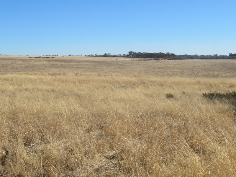 24804 Mawson Doodenanning Road Balkuling, Quairading WA 6383