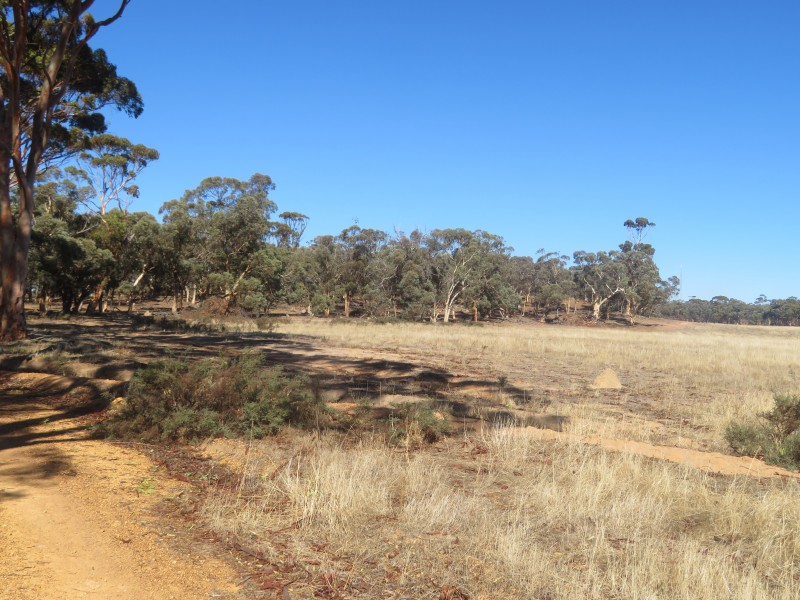 24804 Mawson Doodenanning Road Balkuling, Quairading WA 6383