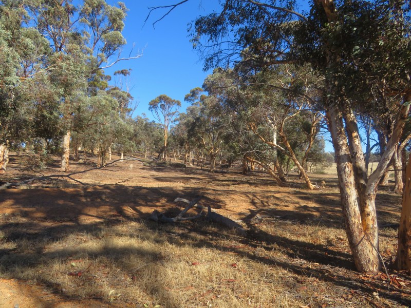 24804 Mawson Doodenanning Road Balkuling, Quairading WA 6383