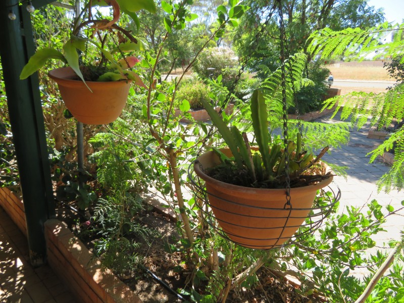 50/15 Glass Court, York WA 6302