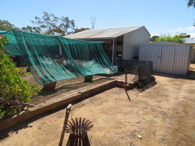 300/45 Glass Street, Trayning WA 6488