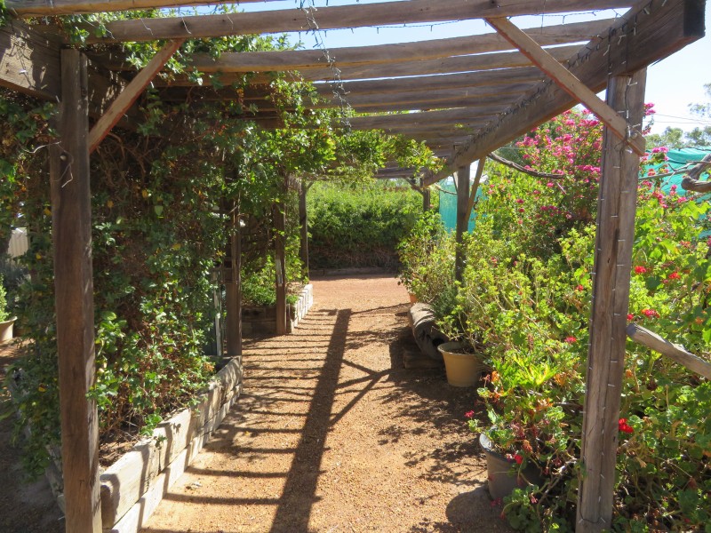 300/45 Glass Street, Trayning WA 6488