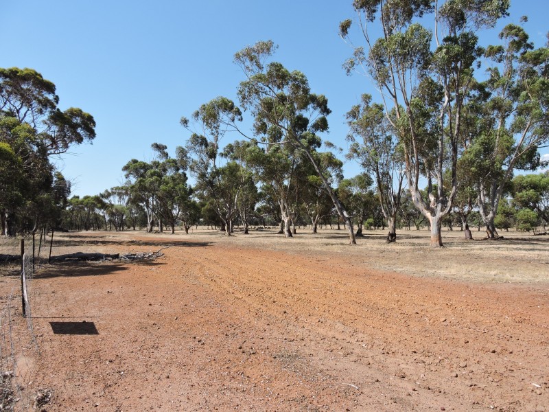 2 Robinsin, Brookton WA 6306