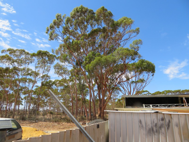 112/22 Adam Street, Kununoppin WA 6489