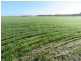 7297 Warding Road, York WA 6302
