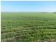 7297 Warding Road, York WA 6302