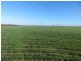 7297 Warding Road, York WA 6302