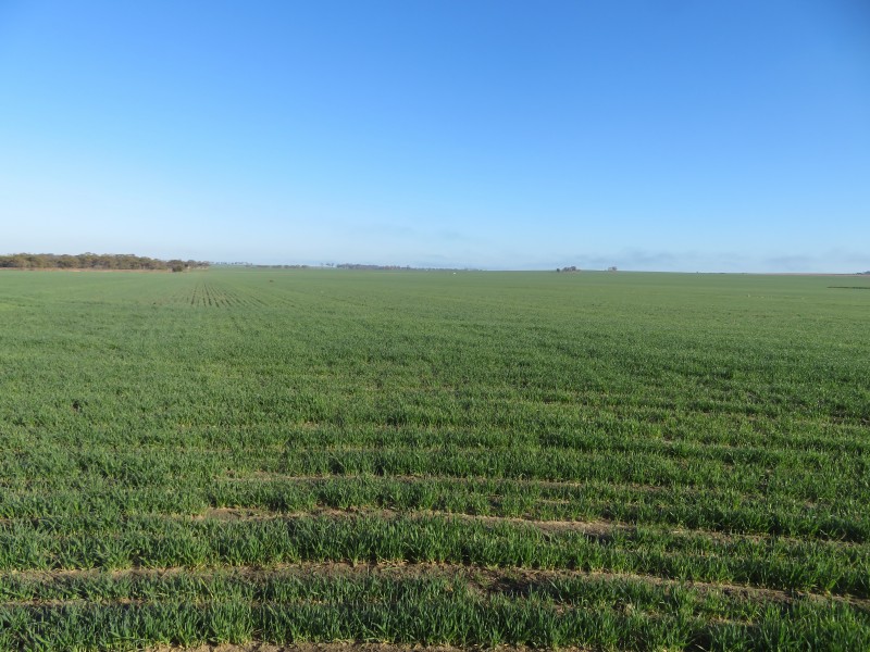 7297 Warding Road, York WA 6302