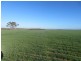 7297 Warding Road, York WA 6302