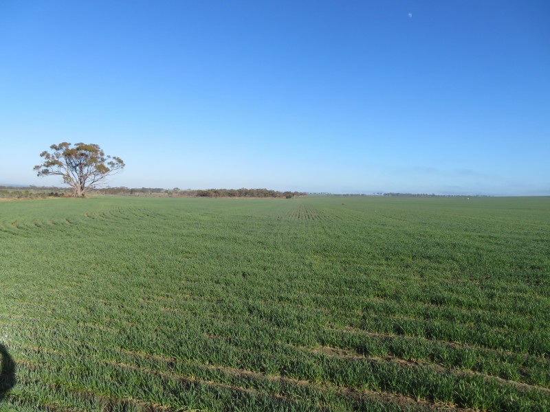 7297 Warding Road, York WA 6302