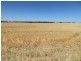 7297 Warding Road, York WA 6302