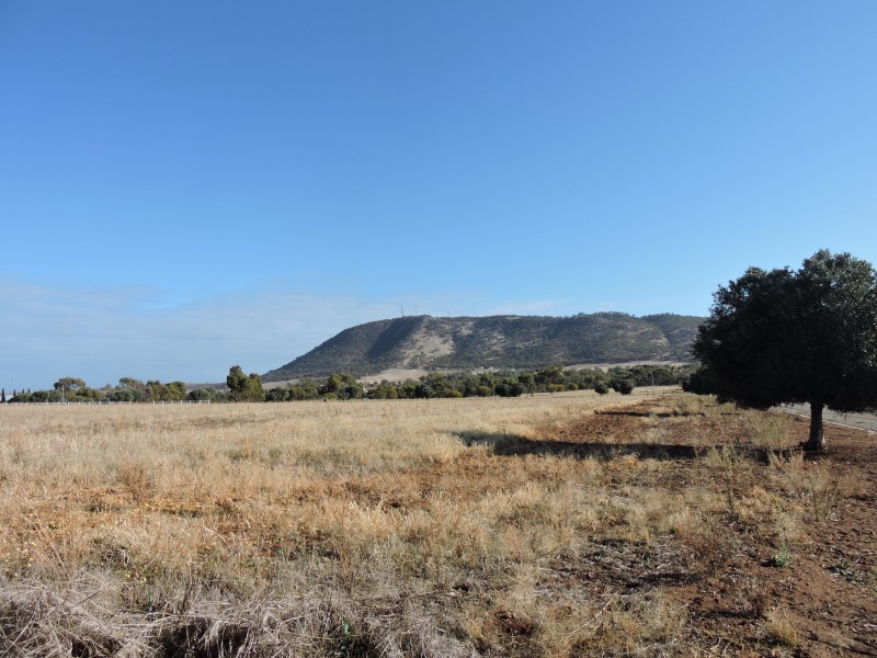 71 FORMAN ROAD, York WA 6302