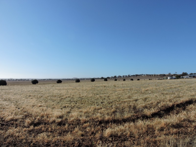 71 FORMAN ROAD, York WA 6302