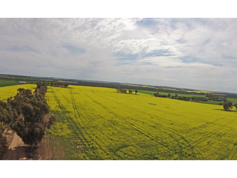 1461 QUELLINGTON ROAD, York WA 6302