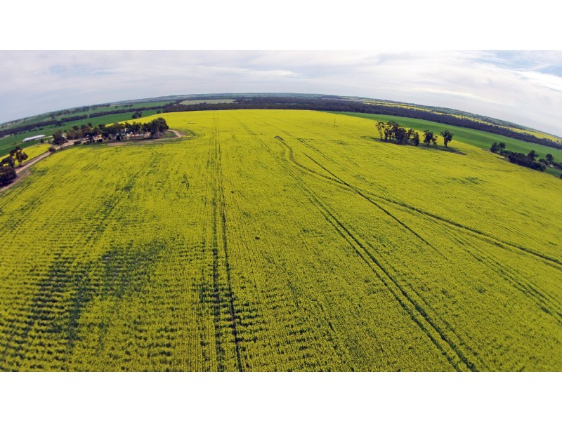 1461 QUELLINGTON ROAD, York WA 6302