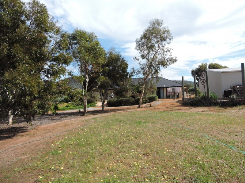 164 NEWCASTLE STREET, York WA 6302
