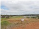 41 CAMFIELD ROAD, York WA 6302