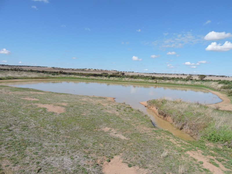 111164 BILLACABELLA-DOODENANNING ROAD,, Quairading WA 6383