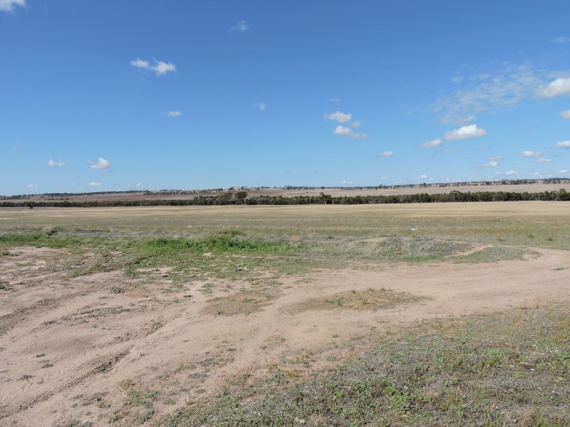 111164 BILLACABELLA-DOODENANNING ROAD,, Quairading WA 6383