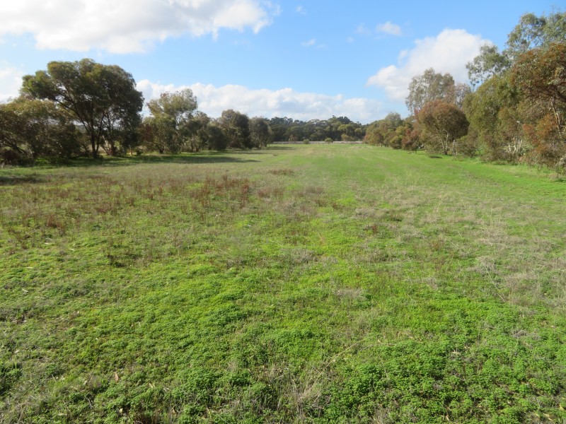 12 Tenth Road, York WA 6302