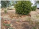 11 Fettlers Lane, Spencers Brook WA 6401