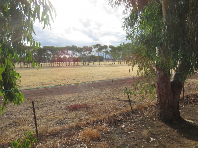 11 Fettlers Lane, Spencers Brook WA 6401