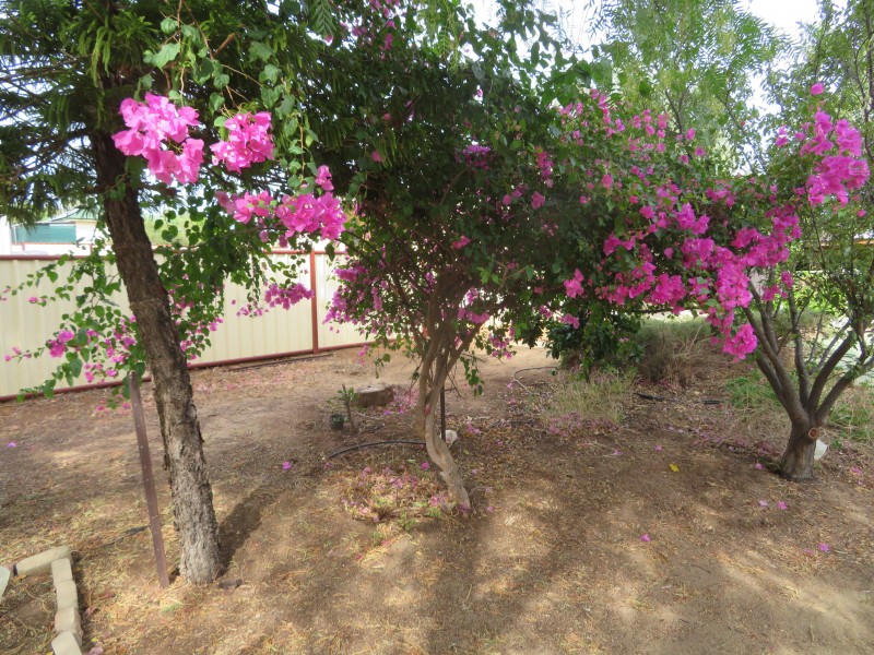 12 Thomson Street, York WA 6302