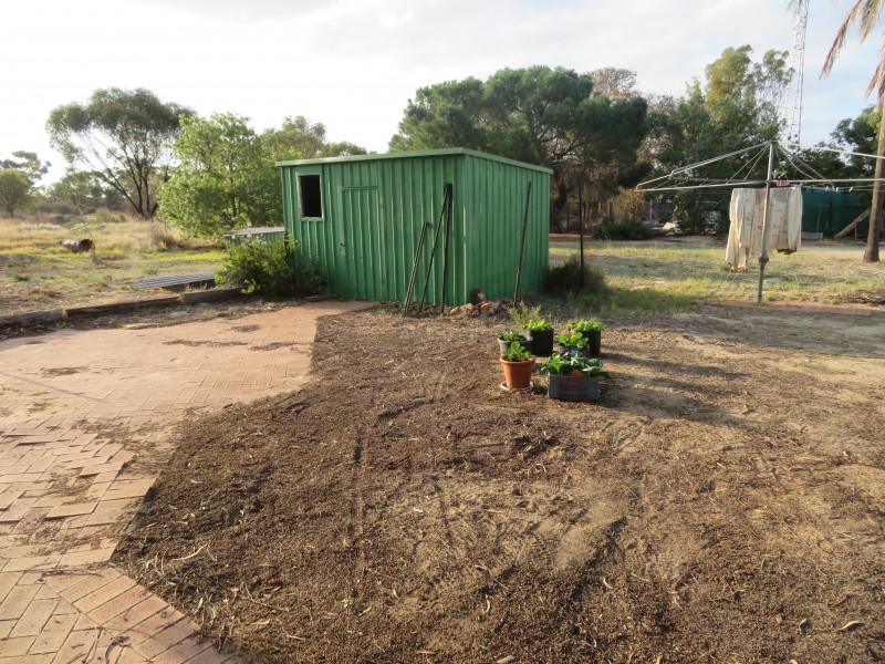 32 Attwood Street, Bullaring WA 6373