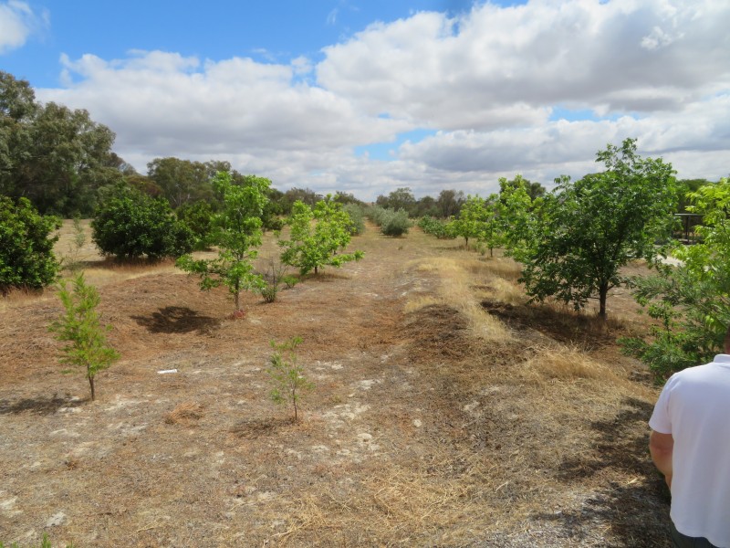 5895 Great Southern Highway Gilgering, York WA 6302