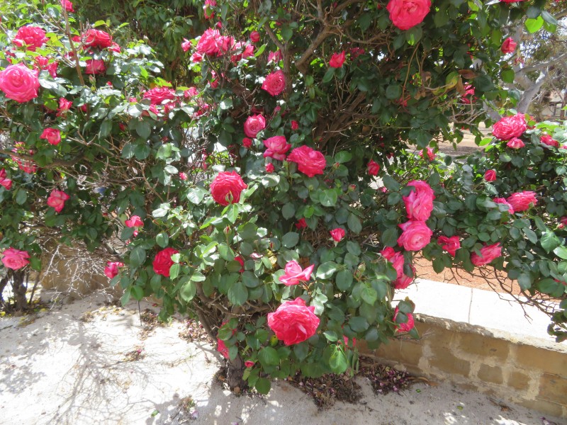 32 Williams Street, Brookton WA 6306