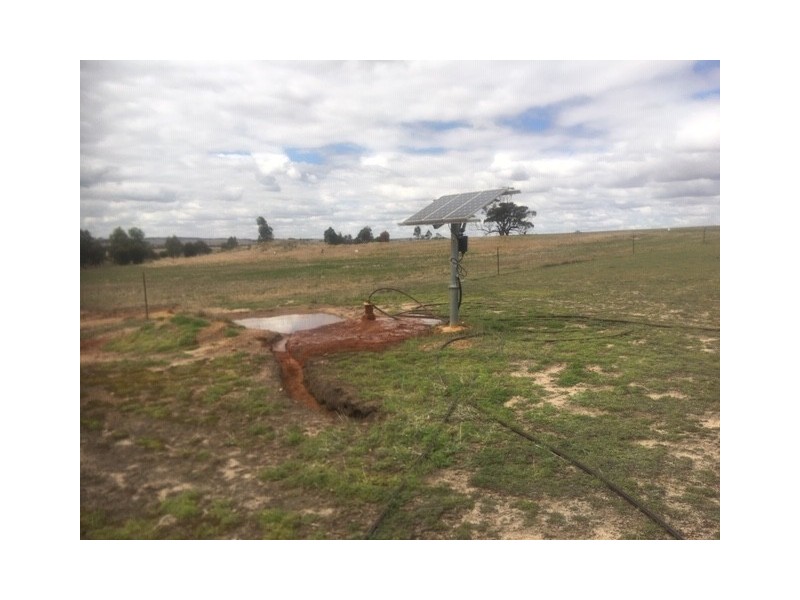 203 SIMMONDS, Beverley WA 6304