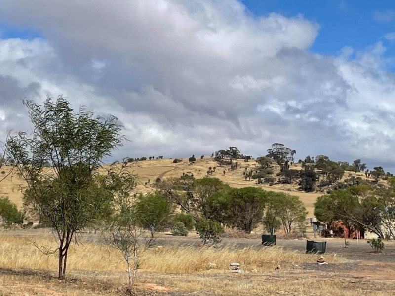 203 SIMMONDS, Beverley WA 6304