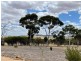 203 SIMMONDS, Beverley WA 6304