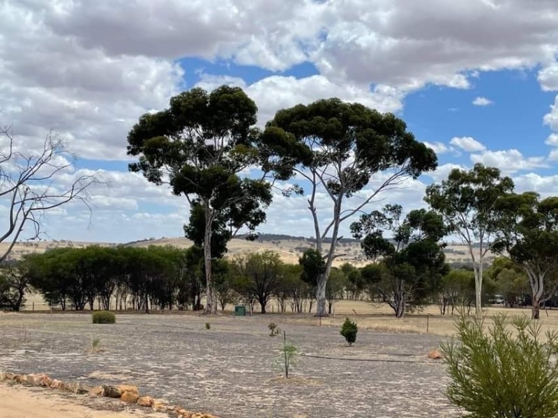 203 SIMMONDS, Beverley WA 6304