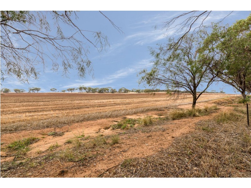 9606 Cunderdin – Quairading Road, Cunderdin WA 6407