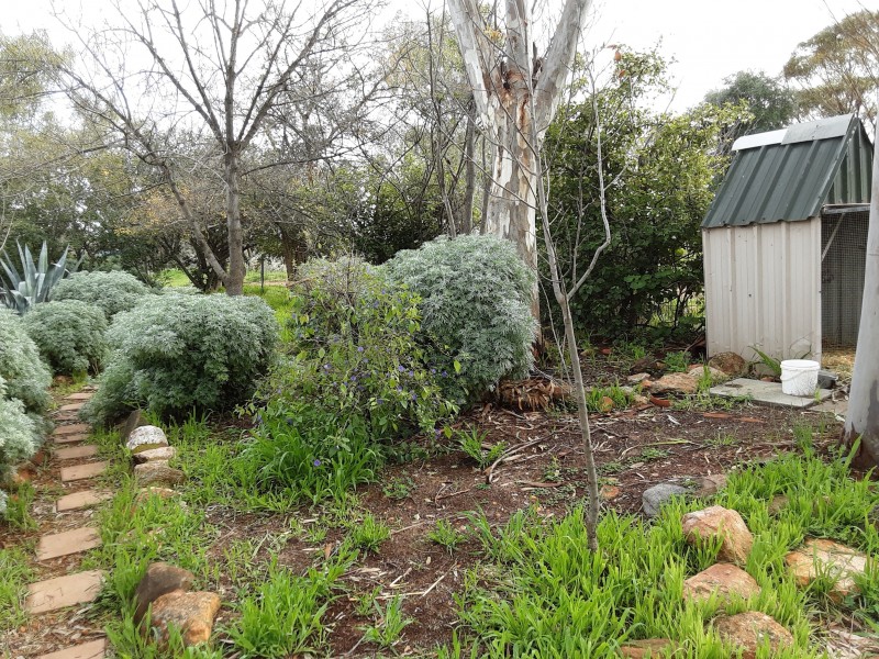 2105 TOP BEVERLEY RD MOUNT HARDEY, York WA 6302