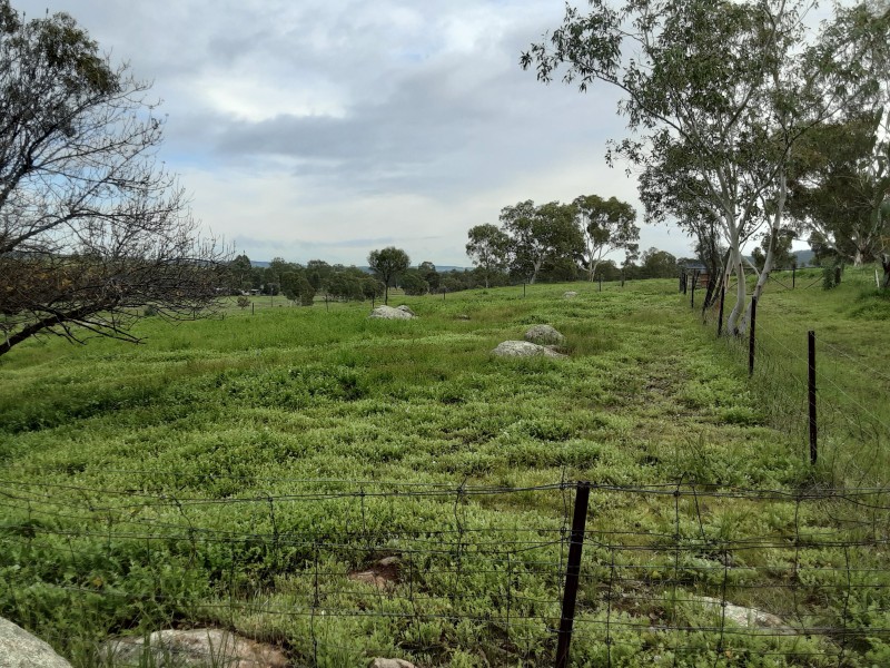 2105 TOP BEVERLEY RD MOUNT HARDEY, York WA 6302