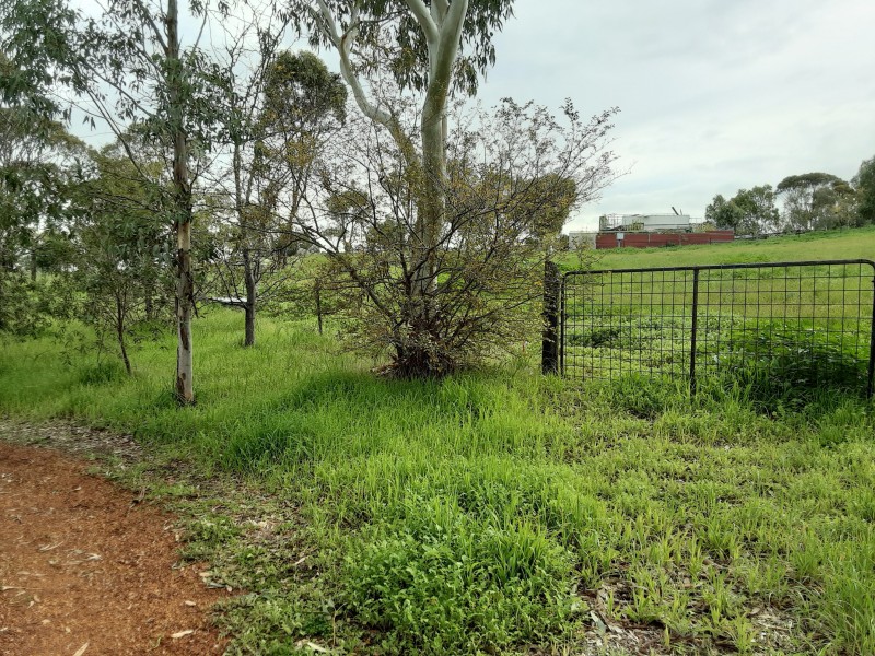 2105 TOP BEVERLEY RD MOUNT HARDEY, York WA 6302