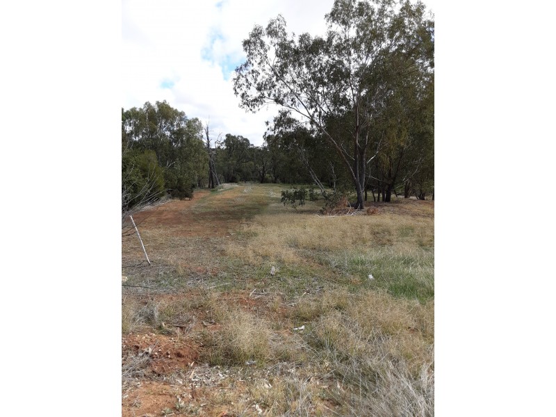 135 9 Newcastle st, York WA 6302