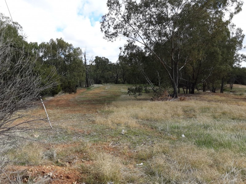 135 9 Newcastle st, York WA 6302