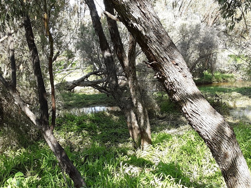 13 Ninth rd, York WA 6302