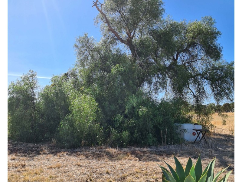 36/14 Andrews Ave, York WA 6302