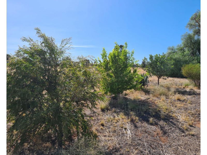 36/14 Andrews Ave, York WA 6302